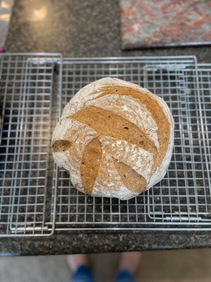 Whole Wheat Sourdough