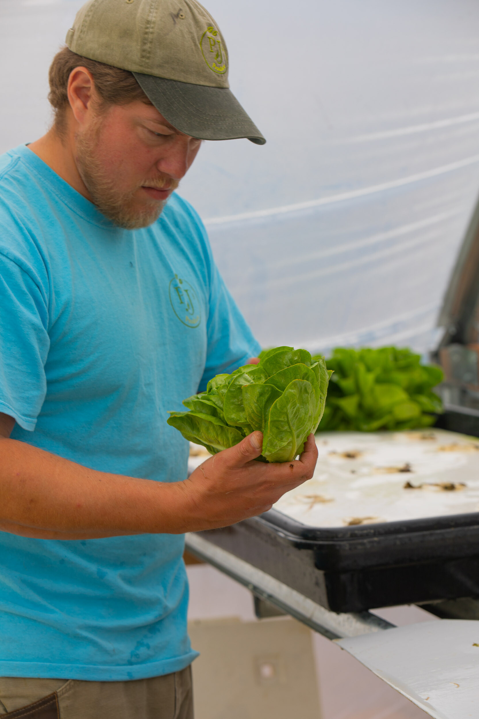 Papa Joe’s Produce Eat Wyoming