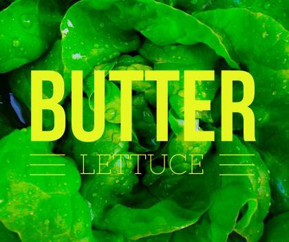 butter lettuce