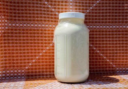 Half Gallon A2 Milk