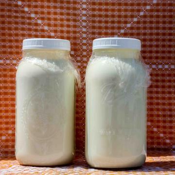 Gallon A2 Milk