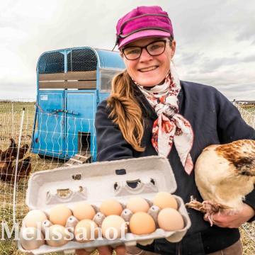 Melissahof Pasture-Laid Heritage Cåhicken Eggs