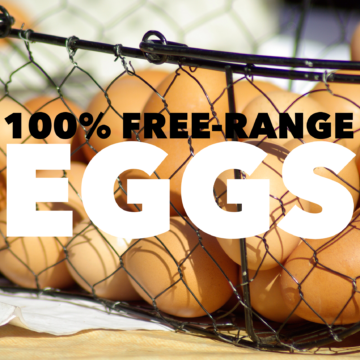 A dozen 100% free-range farm-fresh eggs beautifully arranged, showcasing their natural color variations, and emphasizing their healthy and sustainable origins.