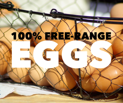 A dozen 100% free-range farm-fresh eggs beautifully arranged, showcasing their natural color variations, and emphasizing their healthy and sustainable origins.