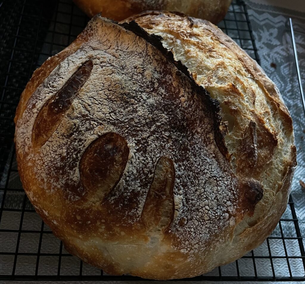 Traditional Sourdough Boule – Eat Wyoming